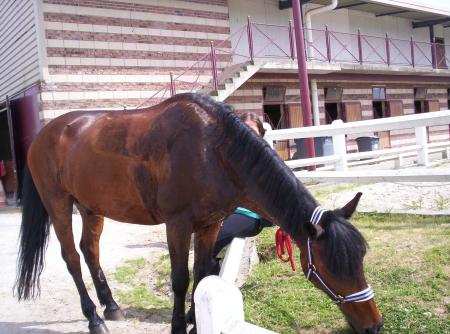 delire